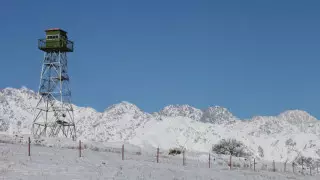Наркотики, оружие, боеприпасы: сколько нарушителей госграницы задержано Погранслужбой КНБ