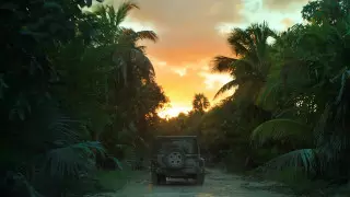 Назван главный тревел-тренд 2024 года