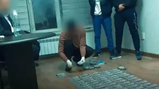 Как задерживали замакима района в Алматы - опубликовано видео