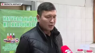 Необычный бизнес открыл житель Жетысуской области