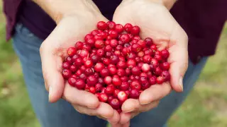 Ученые назвали ягоду, снижающую риск смерти на 31 процент