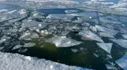 Машина с людьми провалилась под лед в Актюбинской области