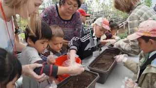 Аршалыда ауыл балалары Калифорния құрттарын өсіріп жатыр