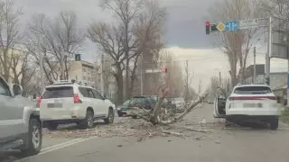 Ураган обрушился на Тараз: есть пострадавшие