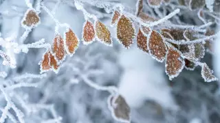 Арктический холод надвигается на Казахстан