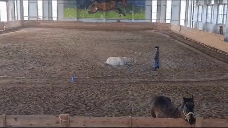 Кадры из видео