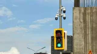 Нельзя на зеленый: новое правило для пешеходов оценили эксперты