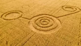 Создатель кругов на полях завершил карьеру из-за шарлатанов