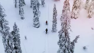 Кариес и боль в суставах. Чем еще грозит долгое пребывание на морозе