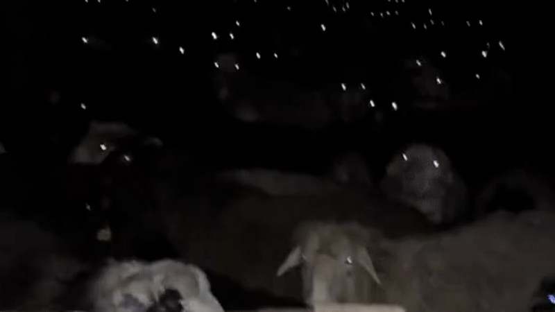 Кадры из видео