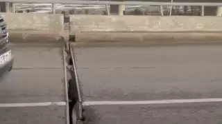 Почему расходятся швы на мостах в Алматы, объяснил Досаев