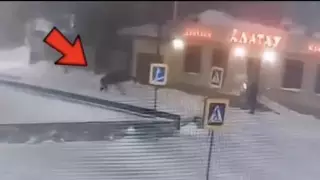 В Астане избиение и ограбление мужчины попало на видео