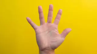 Ученые выяснили, что означает, когда безымянный палец длиннее указательного