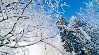 Морозы до 35 градусов и метели: погода в Казахстане на сегодня