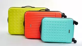 Путешественникам посоветовали отказаться от ярких чемоданов