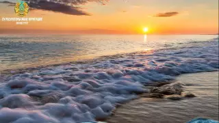 Создание нового института утвердили в Казахстане