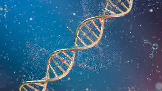 ДНК кандасов будут проверять на наличие "казахского генома"