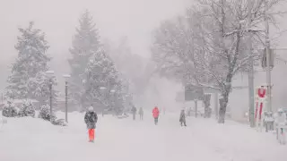 Штормовые предупреждения объявлены в восьми областях Казахстана