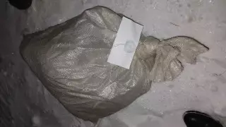 Подстрелил косулю и начал разделывать: Сельчанина задержали в Акмолинской области