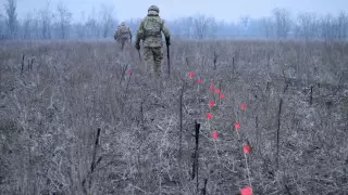 Что произошло в Украине днем 29 января