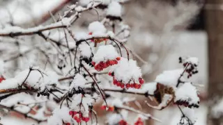 Дождь и сильный снег: циклон испортит погоду в Казахстане