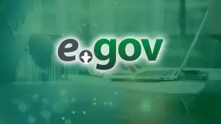 Некоторые функции Egov будут недоступны до утра 4 февраля
