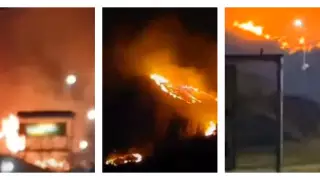 Более 46 человек погибли в результате лесных пожаров в Чили