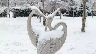 Глубокий циклон принес снегопады в Казахстан