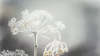 Ураганный ветер и сильный снег: погода в Казахстане на сегодня, 7 февраля