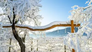 Ветер до 108 километров в час: погода в Казахстане на сегодня, 8 февраля