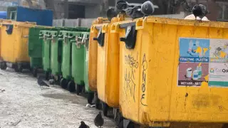 "Кеміргіштер қаптап кетті". Өскемен тұрғындары жанайқайын жеткізді