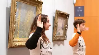 Еще одну картину Клода Моне облили супом