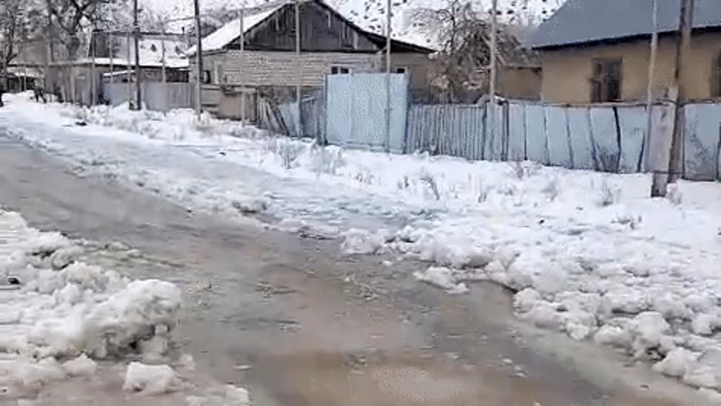 Кадры из видео