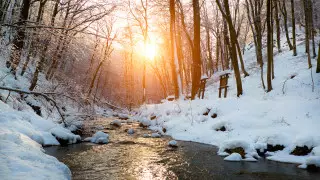 Тепло до 20 градусов и сильный ветер: погода в Казахстане на 14 февраля