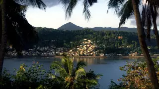 Получение гражданства по праву рождения могут отменить во Франции