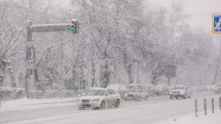 Спасатели обратились к алматинцам