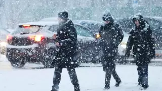 Нулевая видимость: алматинских водителей замело снегом