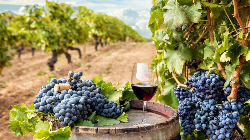 Фото:depositphotos.com