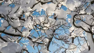 Арктический холод пришел в Казахстан