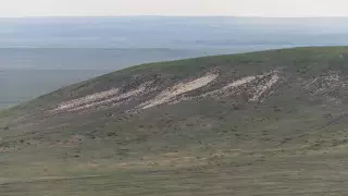 Более 500 голов скота таинственно исчезли в селе в Туркестанской области