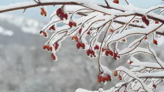 Лютые морозы: где в Казахстане ощущается как минус 57 и что говорят в Казгидромете