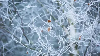 "Минус 63 градуса": жители ВКО публикуют фото термометров