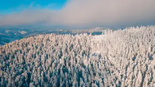 Лютые морозы отступают? Погода в Казахстане на сегодня, 23 февраля