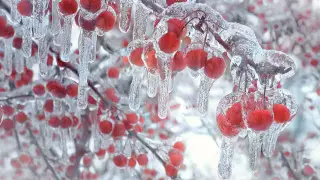 Ждать ли потепления: погода в Казахстане на 24, 25 и 26 февраля