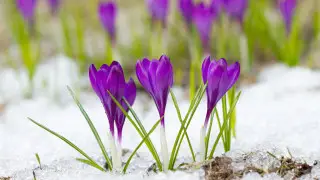 Снег, туман и морозы до 35 градусов: погода в Казахстане на сегодня, 1 марта