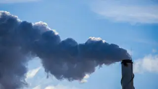 Акимов и их замов оштрафовали за экологические нарушения