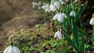 Каким будет март в Казахстане, рассказали синоптики