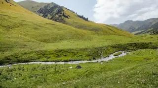 Инвесторам 3 года не выдавали землю в Жетысу