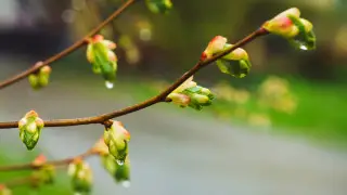 До 20 градусов: казахстанцам обещают долгожданное потепление