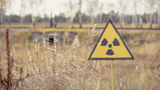 Ученые обнаружили "суперспособность" у червей из Чернобыля